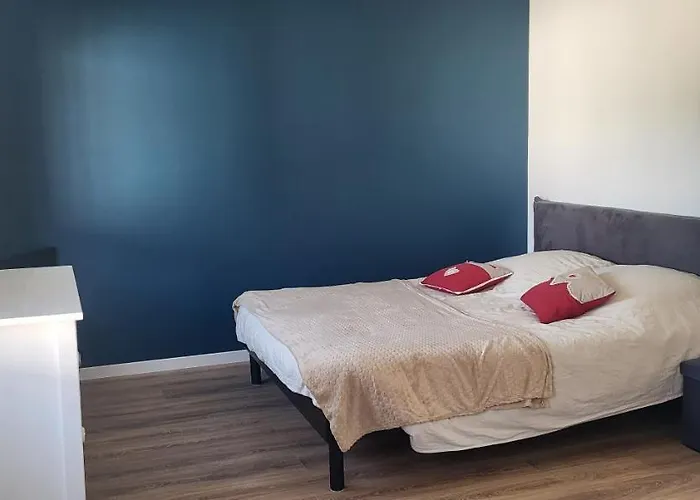 Magnifique Appartement Le Marronnier